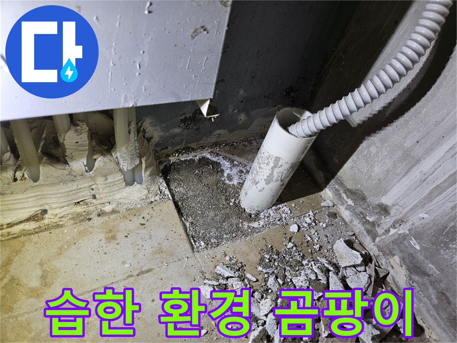 양평 용문면 어수리 누수 - 습한 환경 - 곰팡이 발생 가능성