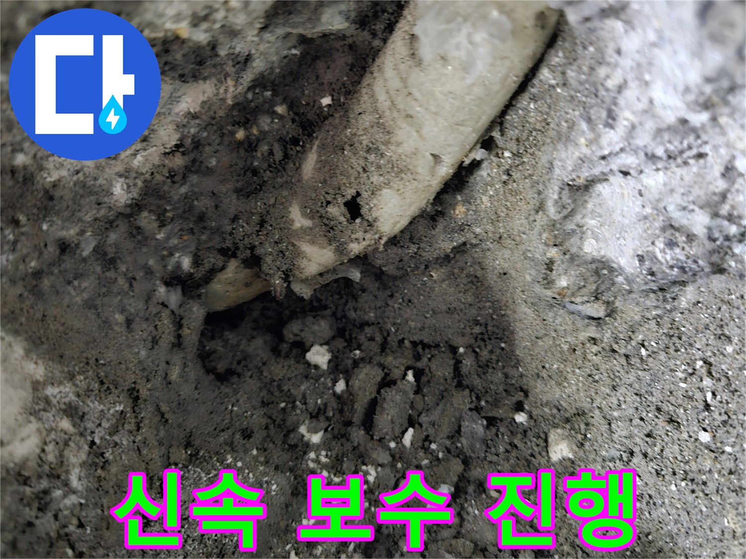 용문면 어수리 - 오수관 누수, 신속한 보수 진행