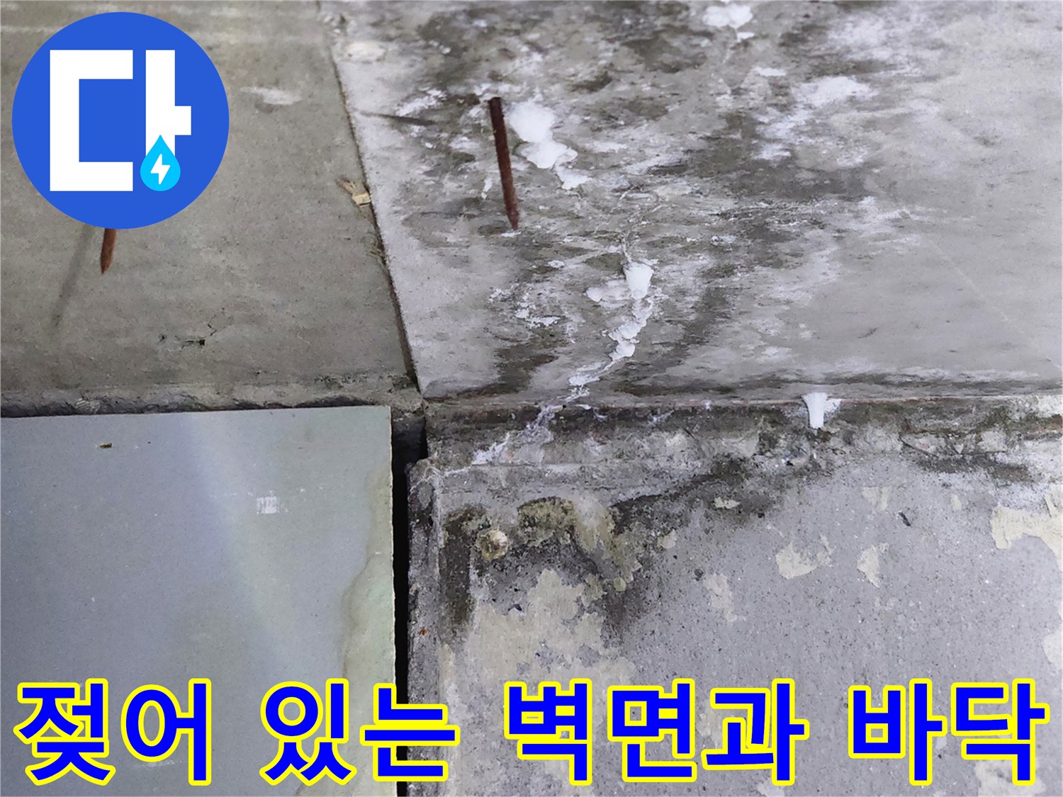 양주시 삼숭동 현장-습기가 침투한 벽체 하단과 바닥 타일