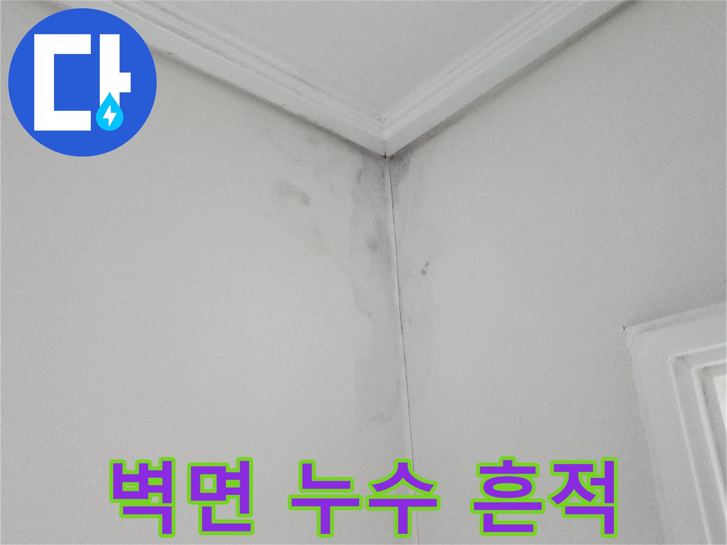 포천 소흘읍 현장-천장 몰딩 주변의 곰팡이 발생 부위