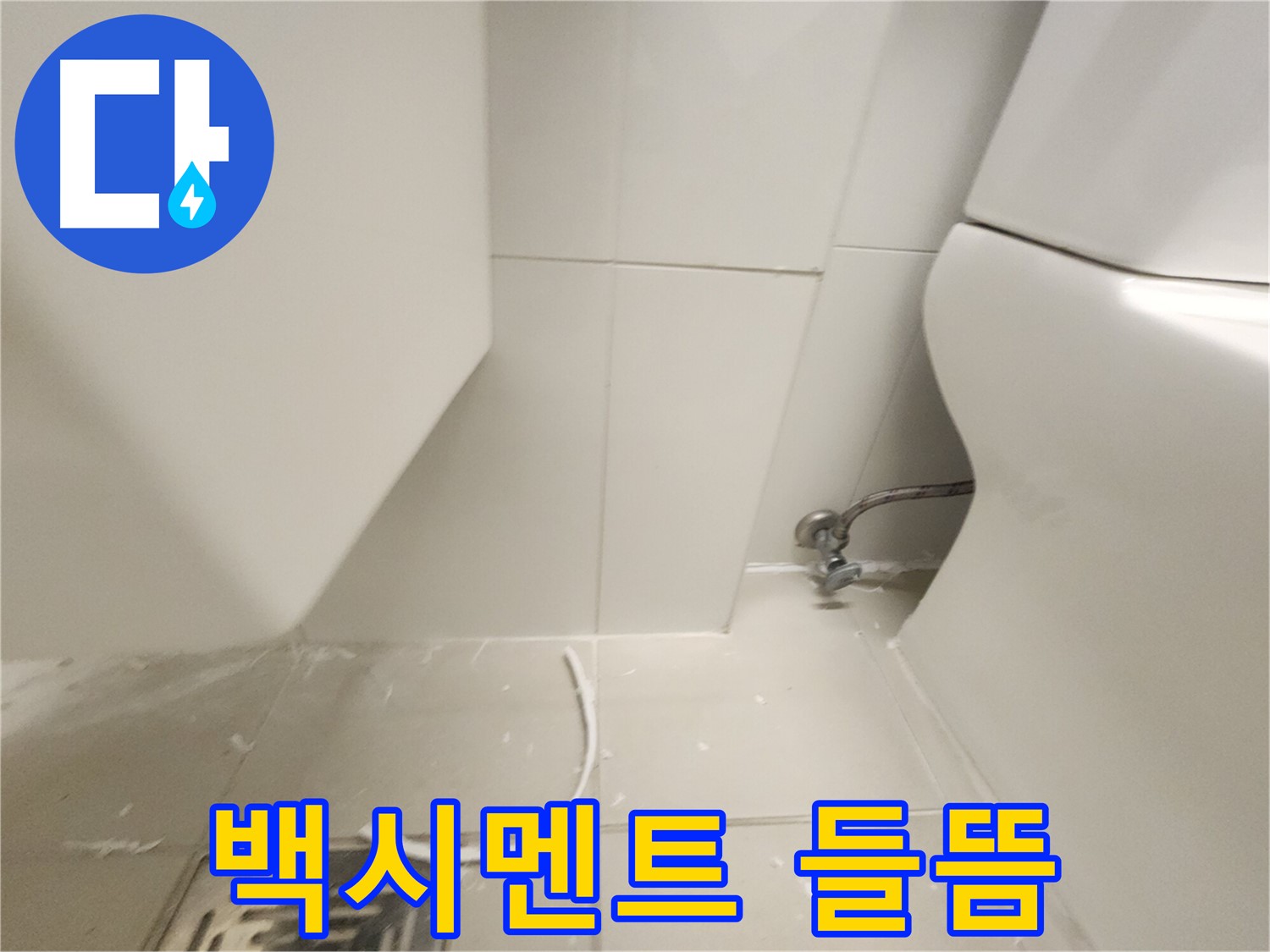 김포 사우 변기 백시멘트 들뜸 확인 사진