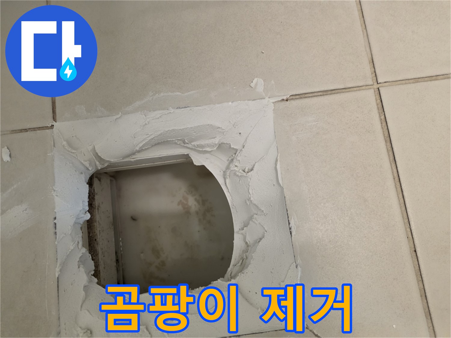 점검구 주변 곰팡이 깨끗하게 제거 - 청결 유지