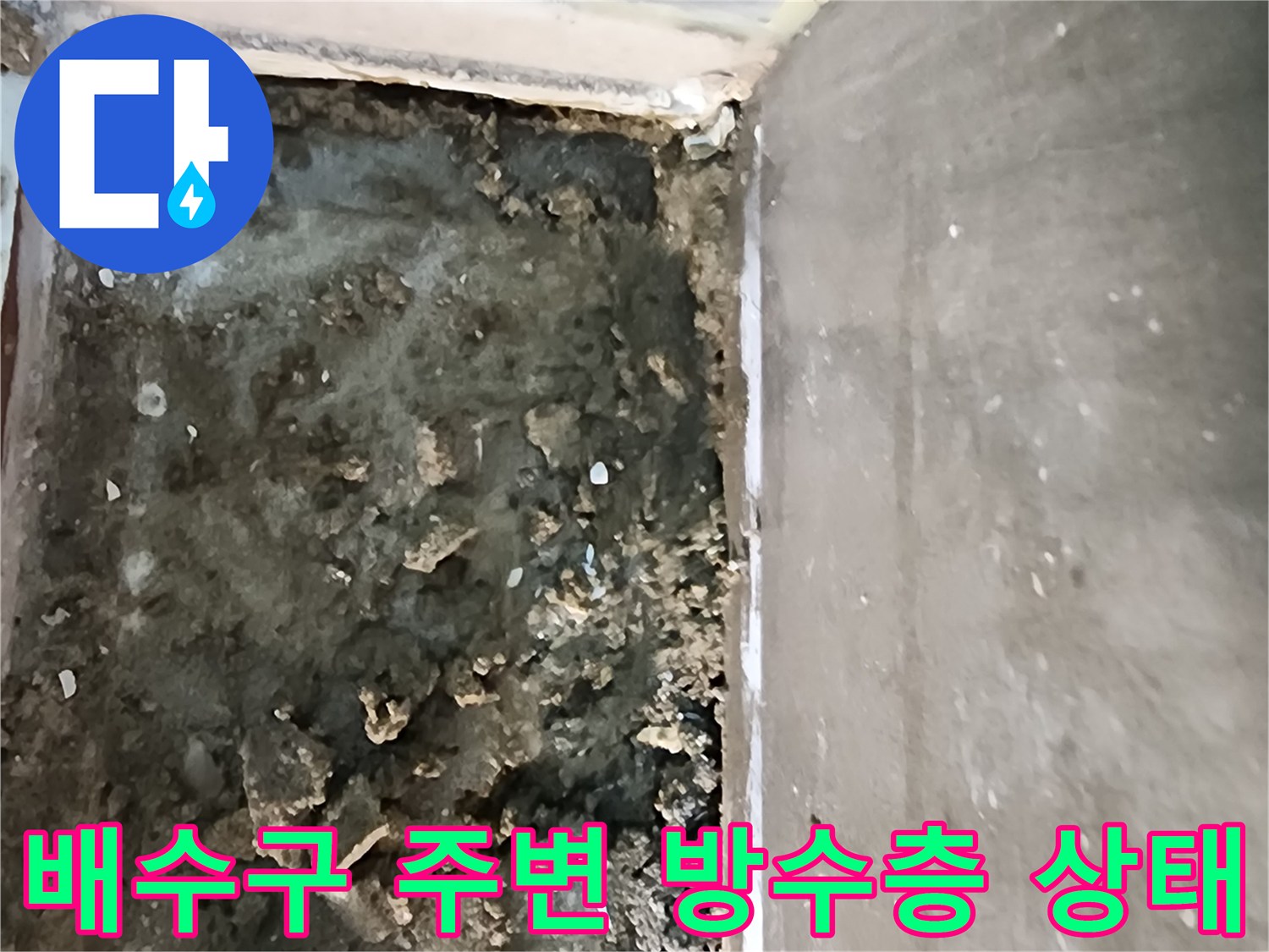 의정부 신곡동 현장-샤워실 배수구 주변 파손된 방수층과 오염된 바닥면 모습