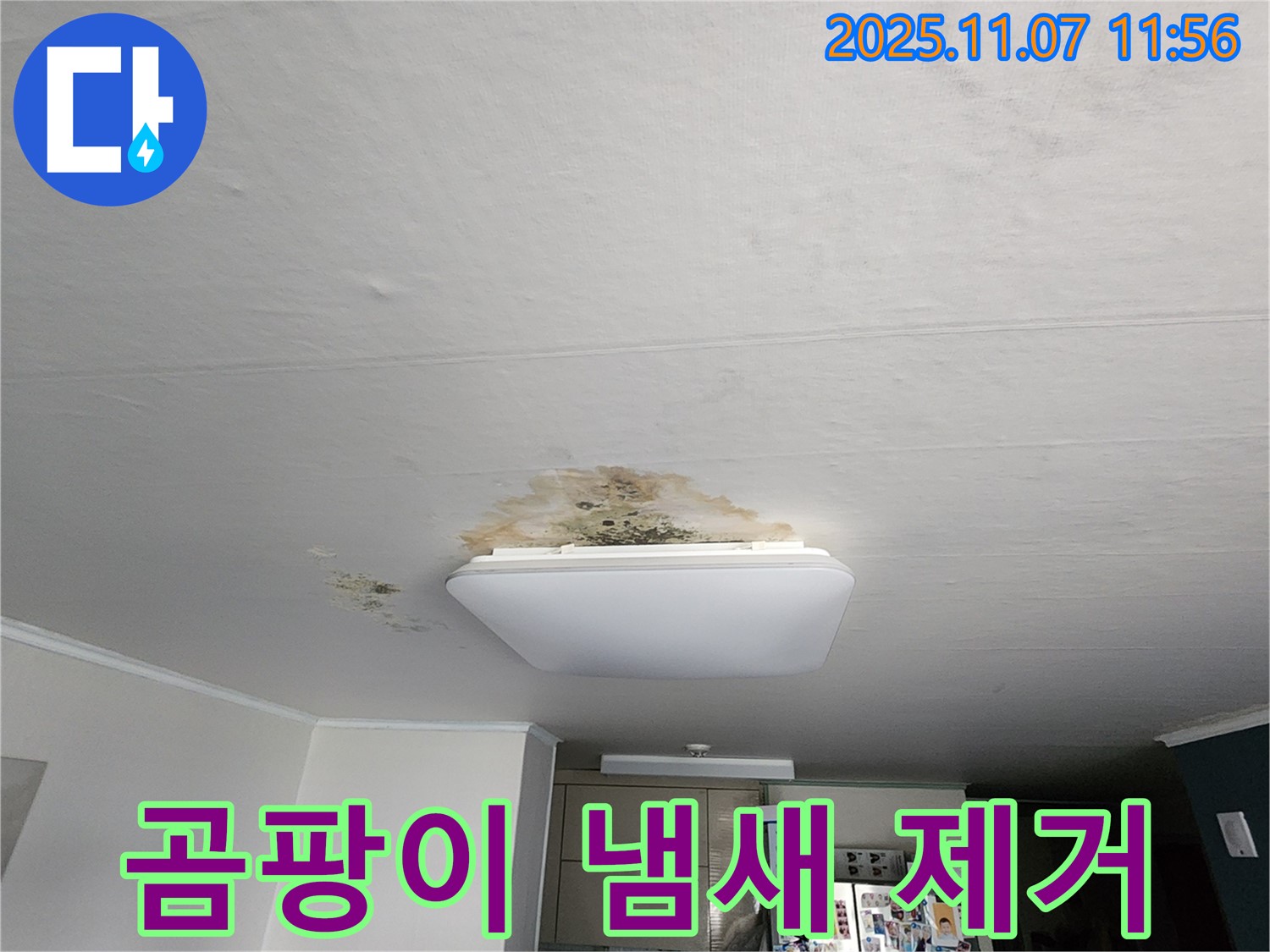 의정부 송산1동 천장 누수 - 곰팡이 핀 천장, 냄새까지! 완벽 제거 후 재발 방지
