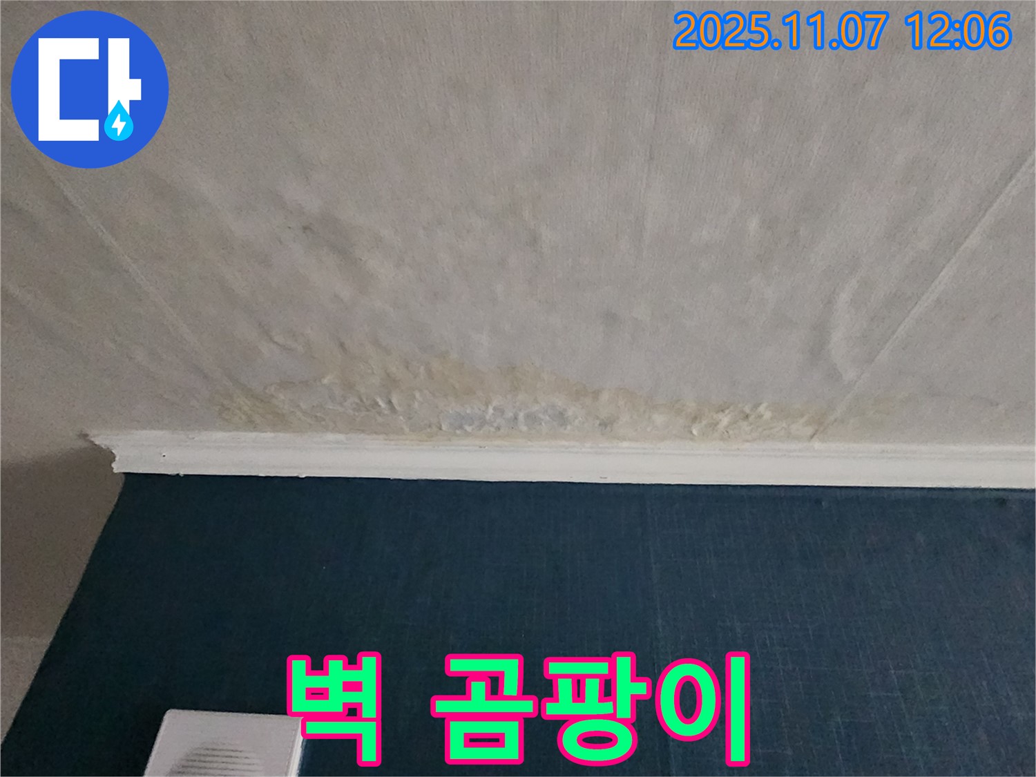 의정부 송산동 누수 - 벽에 곰팡이가 심하게 발생한 모습
