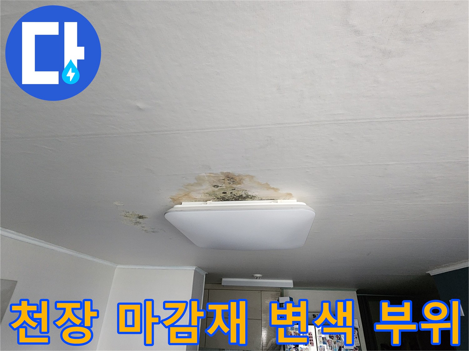 주방 조명 주변의-누수로 인한 천장 오염 및 곰팡이 상태