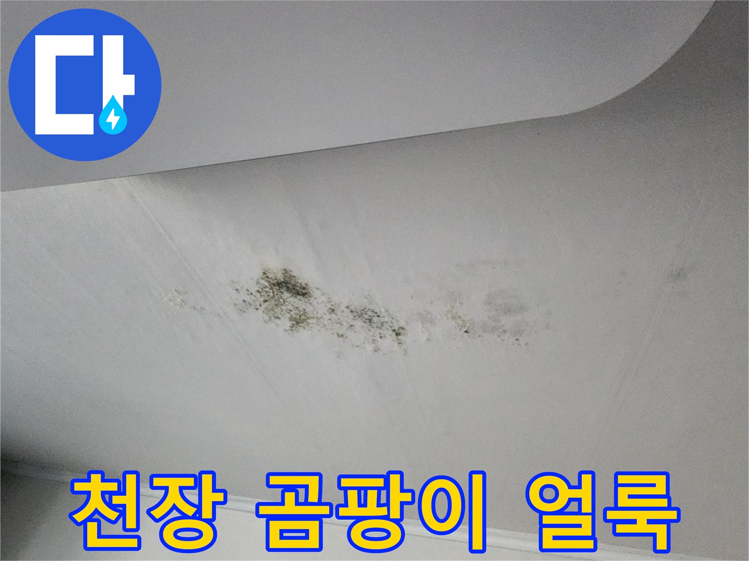 천장 마감재에 나타난 곰팡이와 습기 흔적