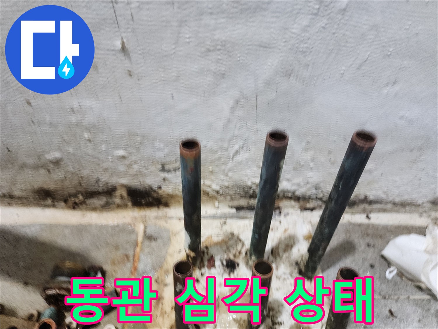 신월동 누수 공사 - 부식된 동관 배관의 심각한 현실
