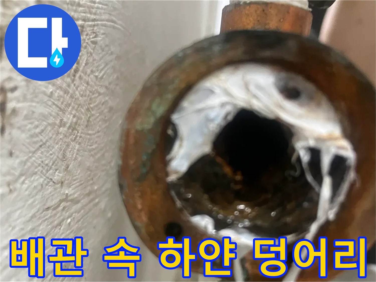 양천구 누수 해결 - 배관 속 하얀 덩어리 완벽 제거