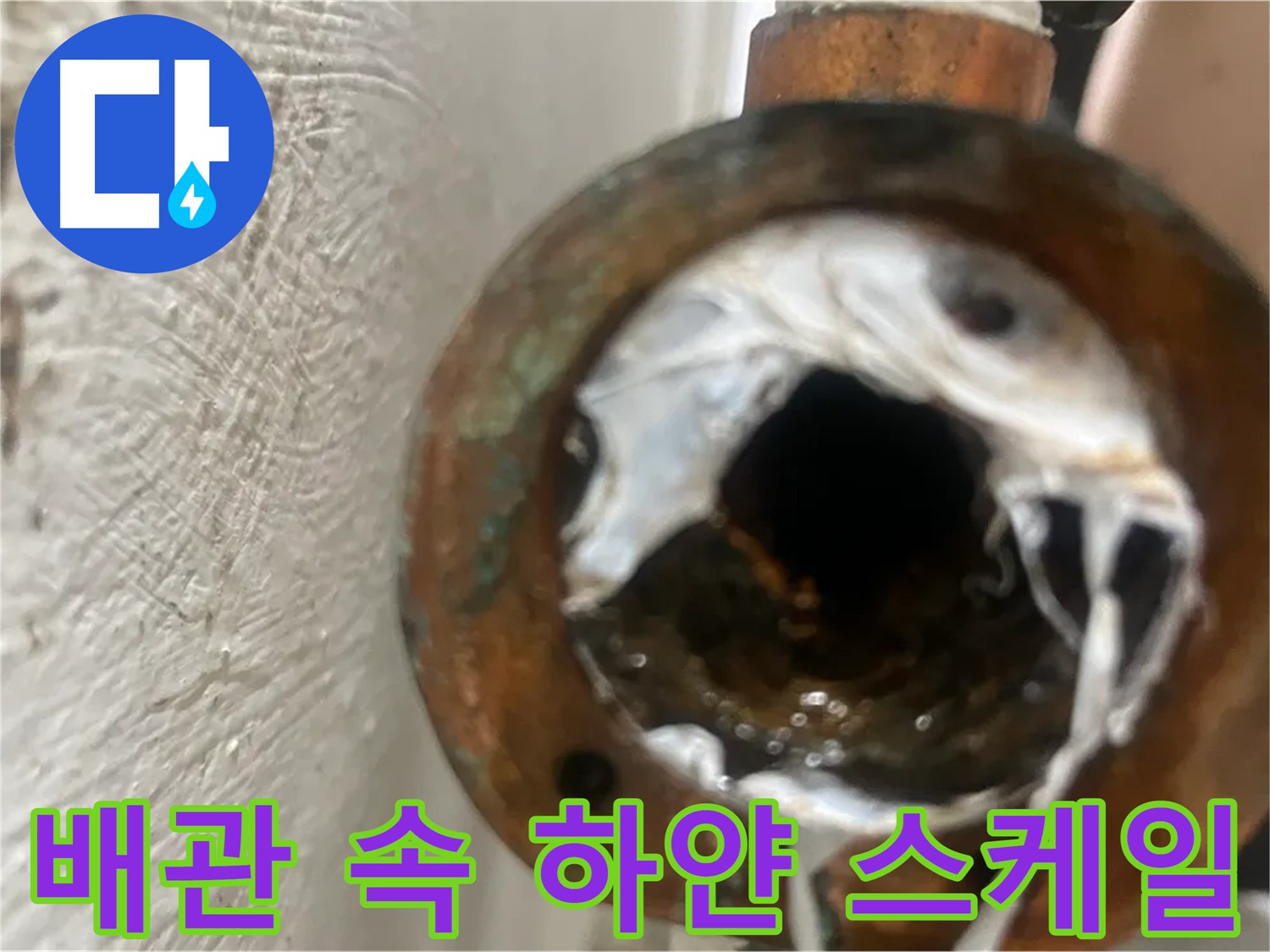 양천구 누수 해결 - 배관 속 하얀 스케일 꼼꼼 청소