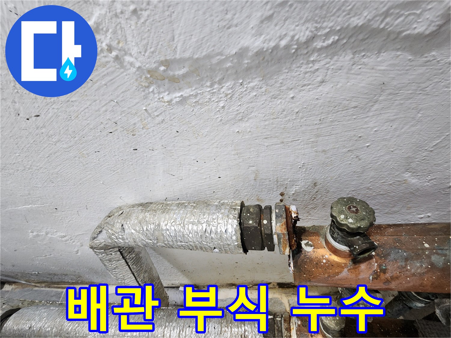양천구 신월동 누수 - 배관 부식으로 인한 누수 발생