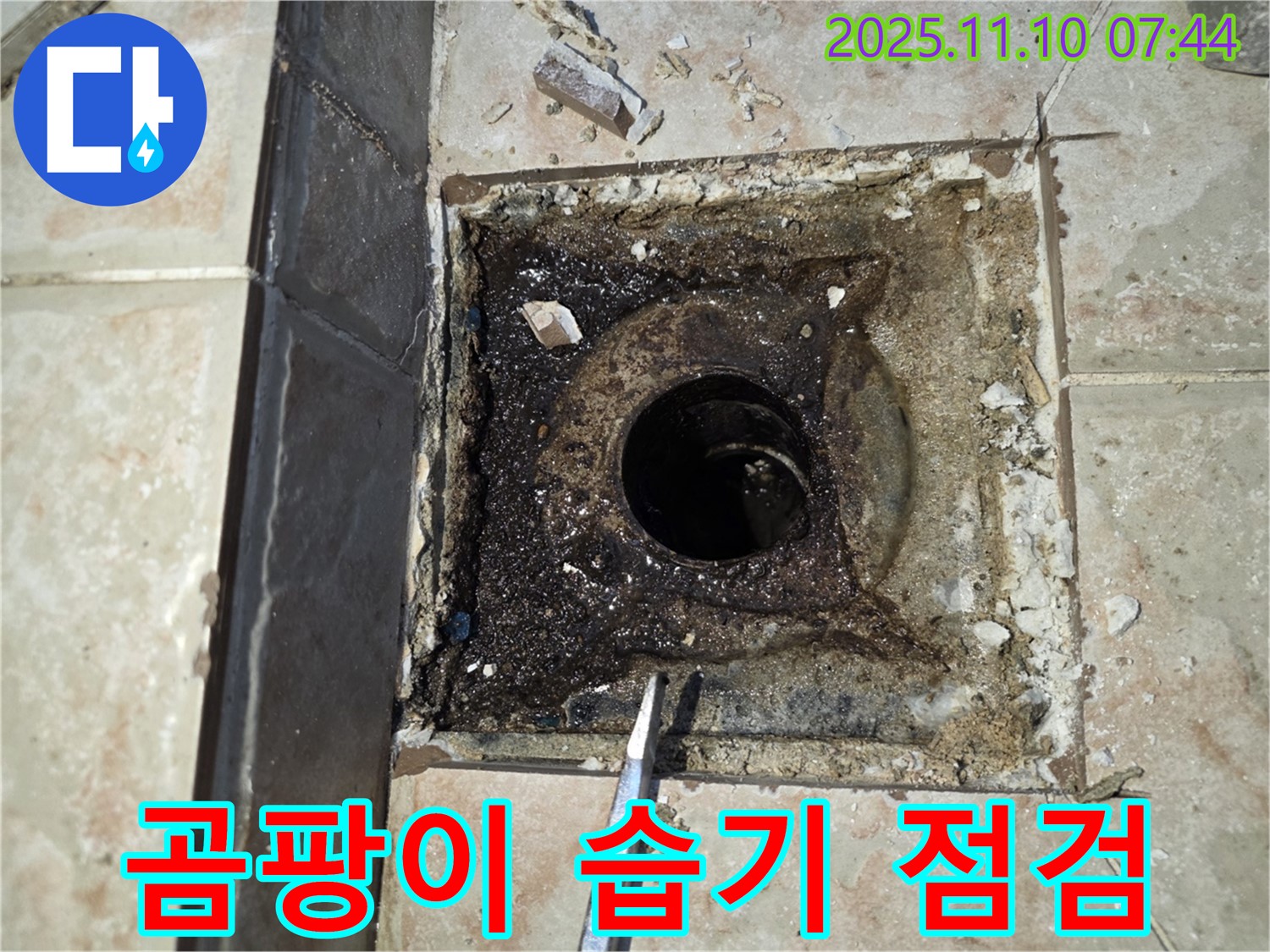 안양 만안구 초원맨션 누수 - 욕실 배수구 주변 곰팡이 발생 및 습기 상태 상세 점검
