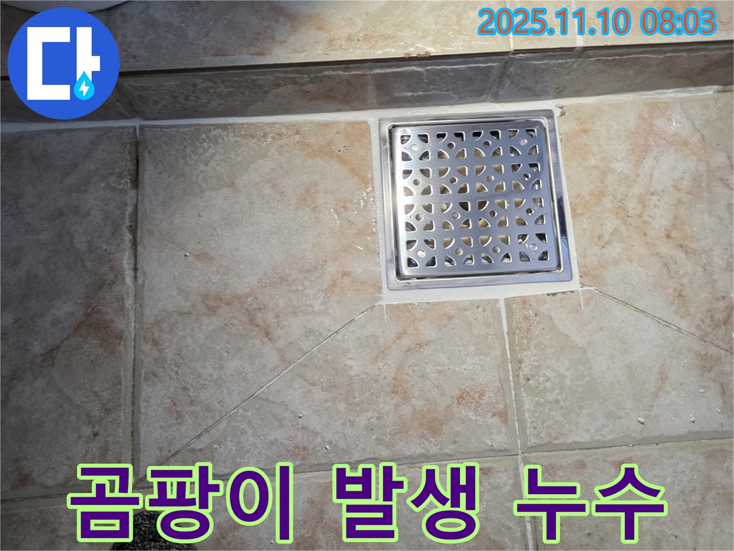 안양 만안구 초원맨션 욕실 곰팡이 발생 누수 - 곰팡이 제거와 누수 해결을 동시에