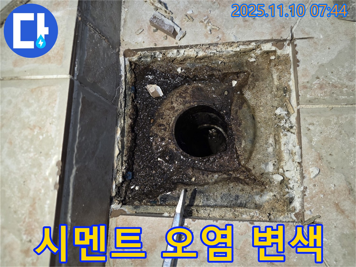 안양 초원맨션 누수 - 욕실 배수구 주변 백시멘트 오염 및 변색 상태 상세 확인
