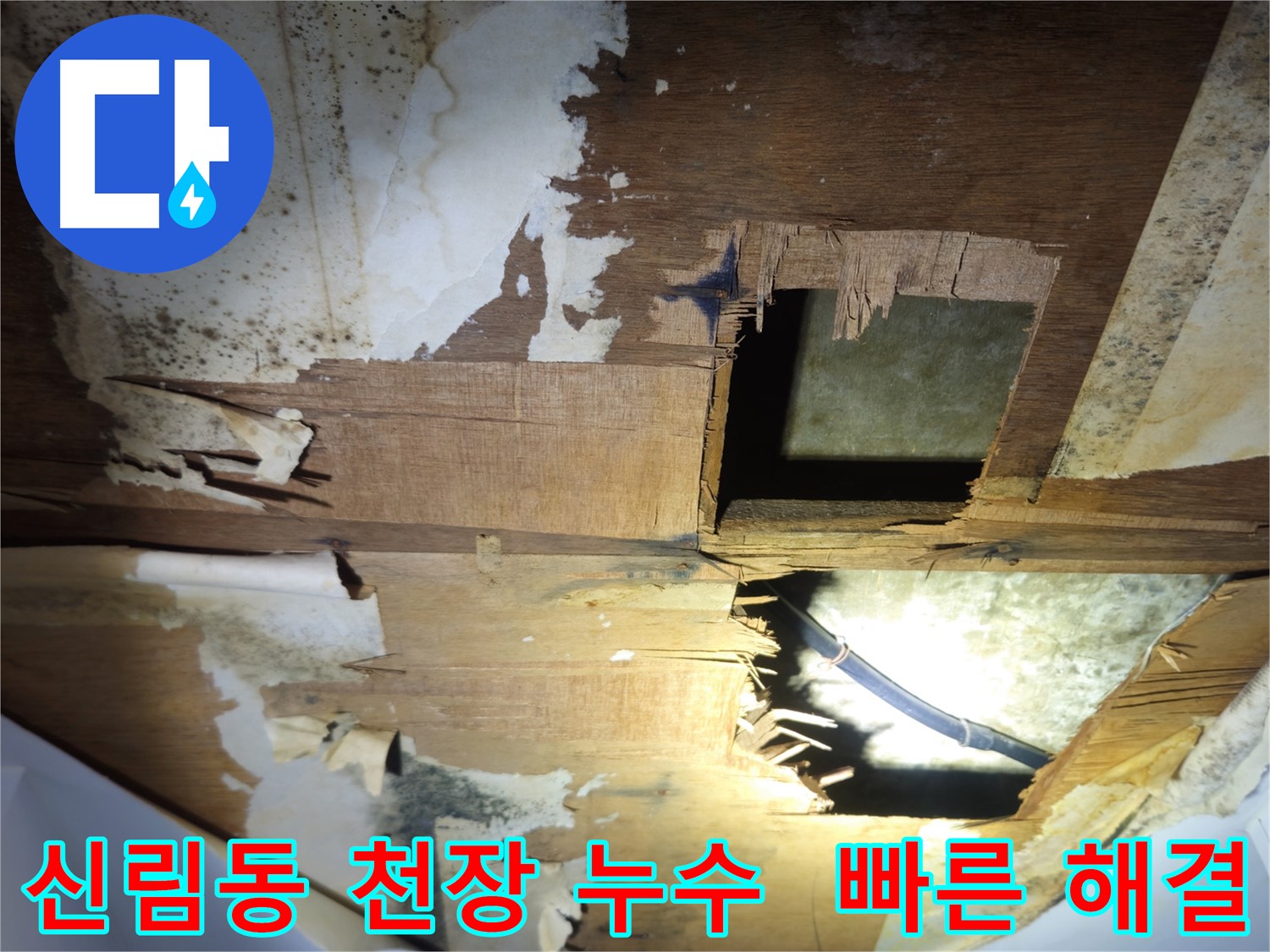 신림동 천장 누수 빠른 해결 - 누수 탐지 및 누수 공사 신속 진행