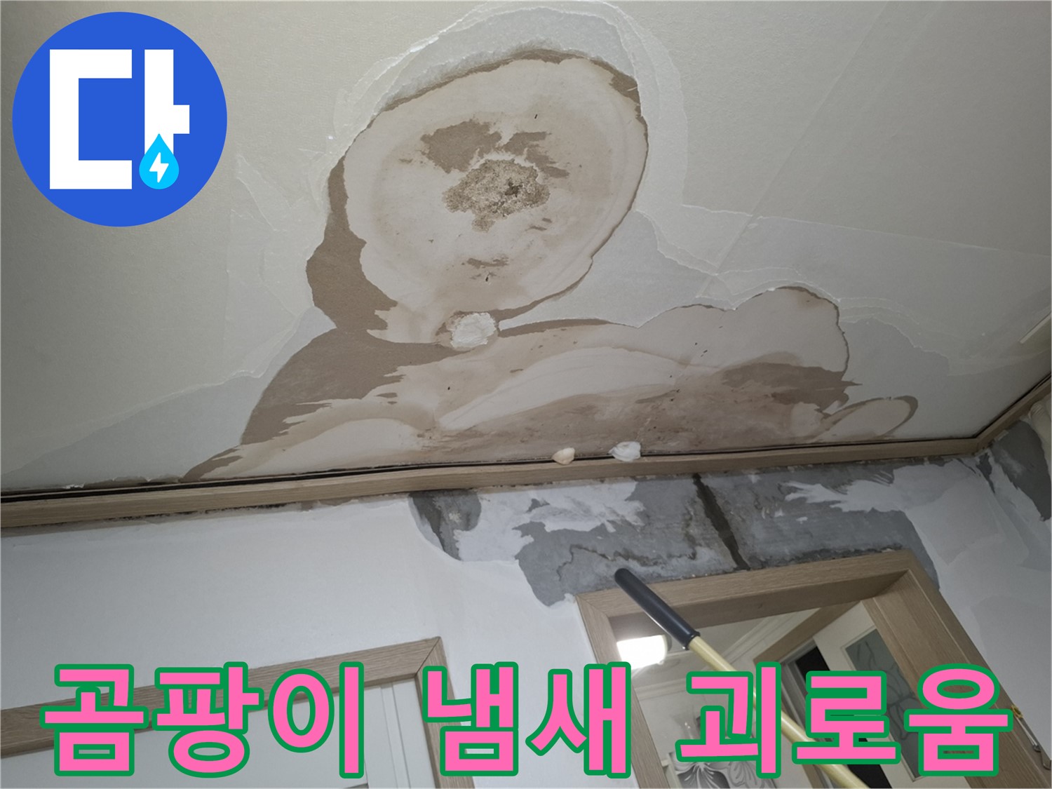 곰팡이 냄새 때문에 괴로워 - 완벽한 해결 약속!
