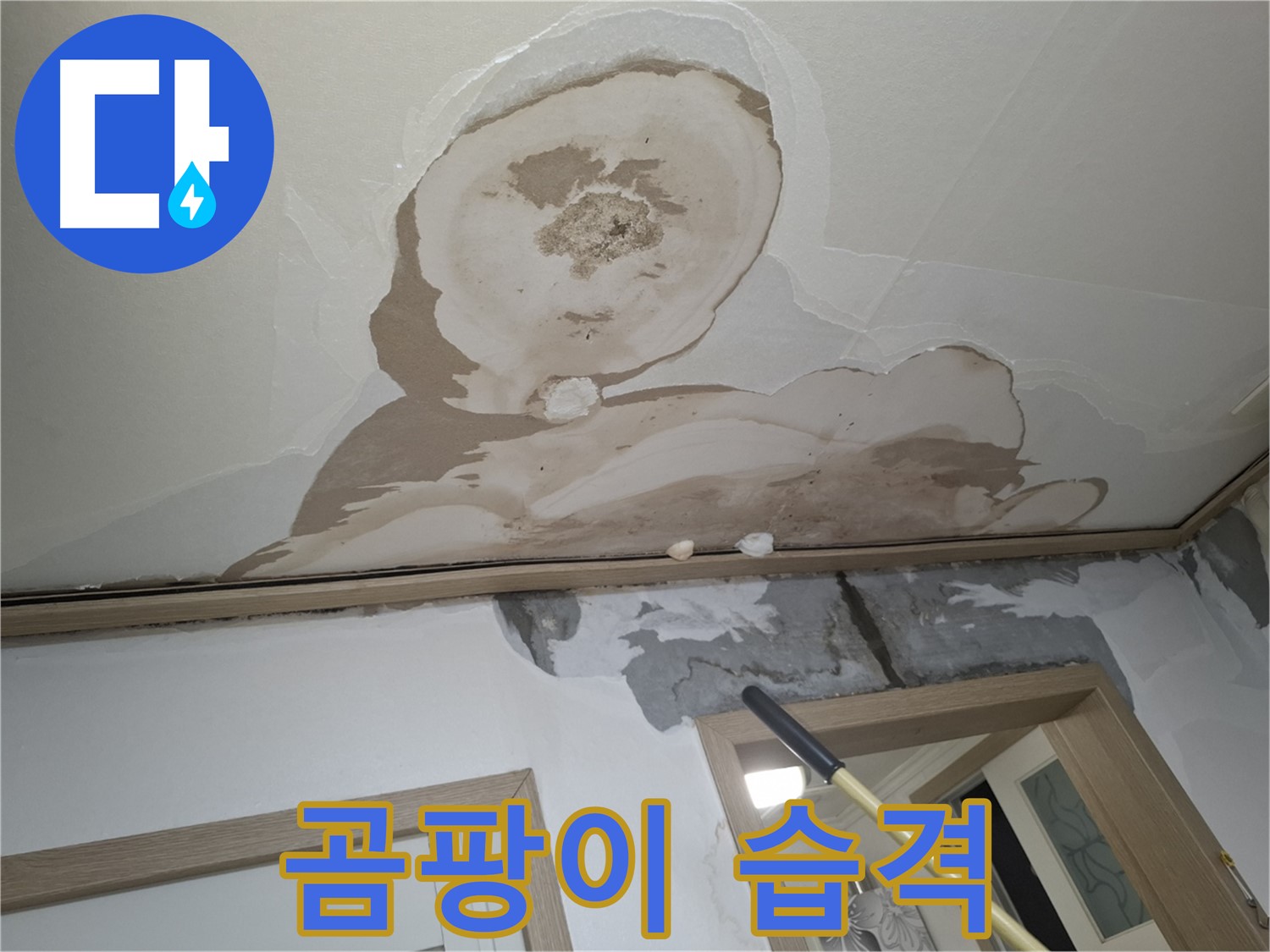 곰팡이 습격 - 안전 위협, 누수 해결이 최우선!