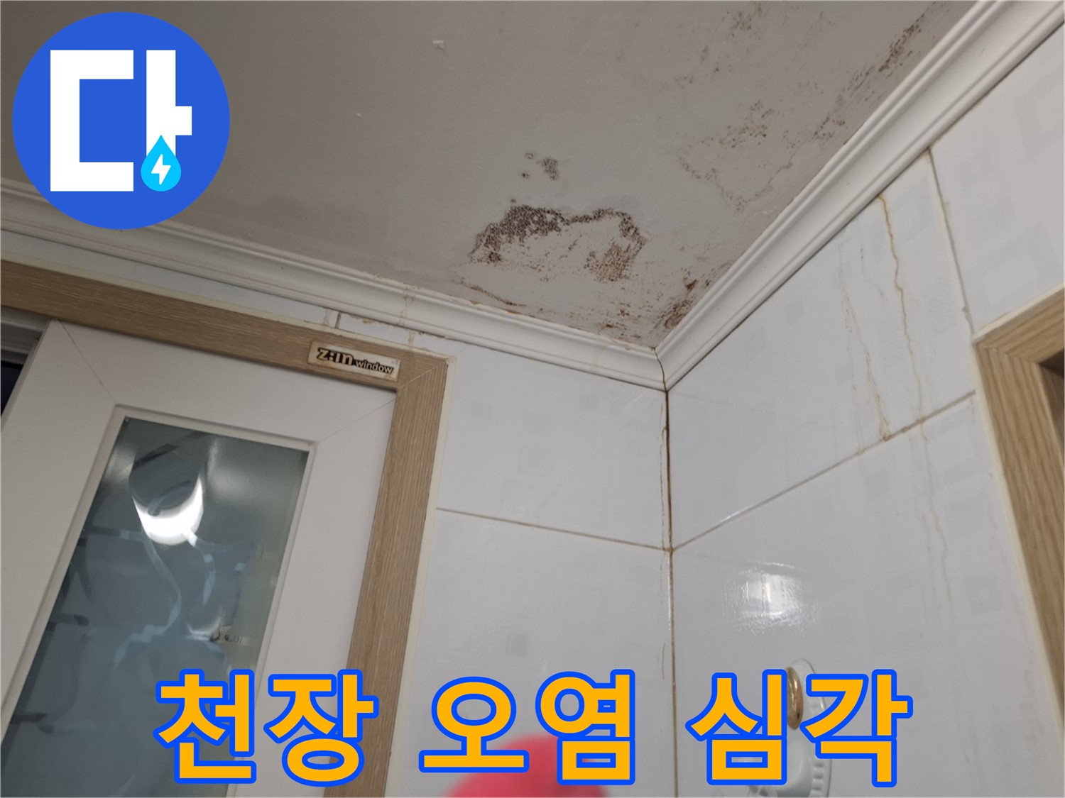 심각한 천장 오염 - 윗집 누수 의심 - 건강 위협