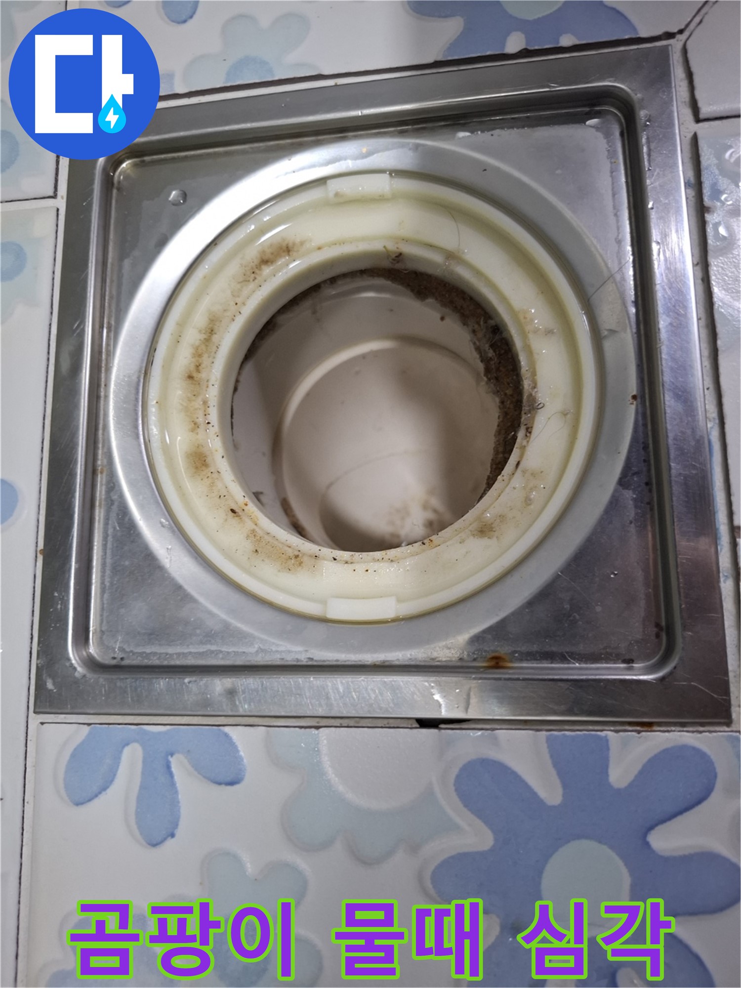 욕실 배수구 곰팡이와 물때 심각 - 누수
