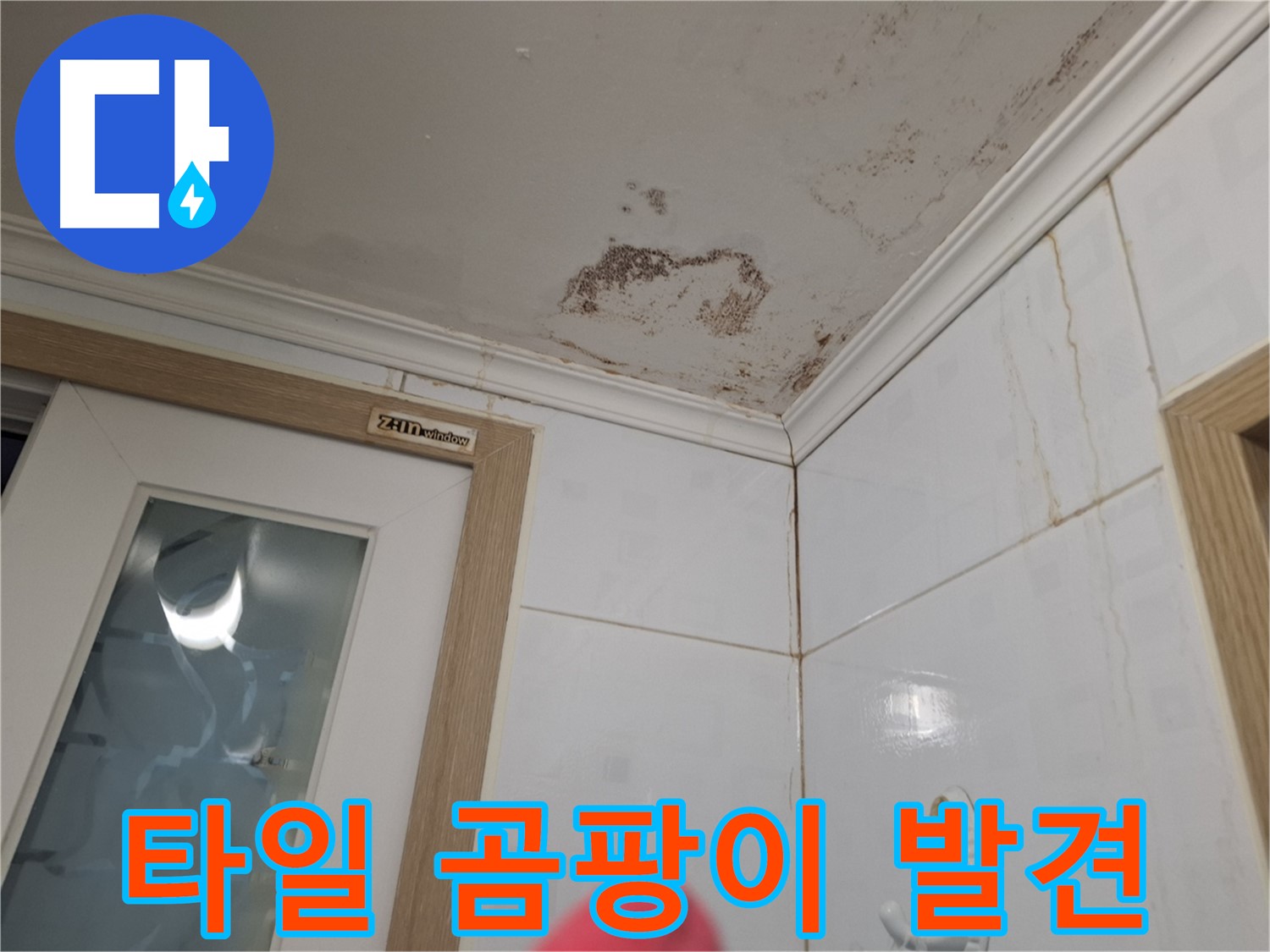 욕실 타일 곰팡이 - 누수 초기 의심 - 꼼꼼 점검
