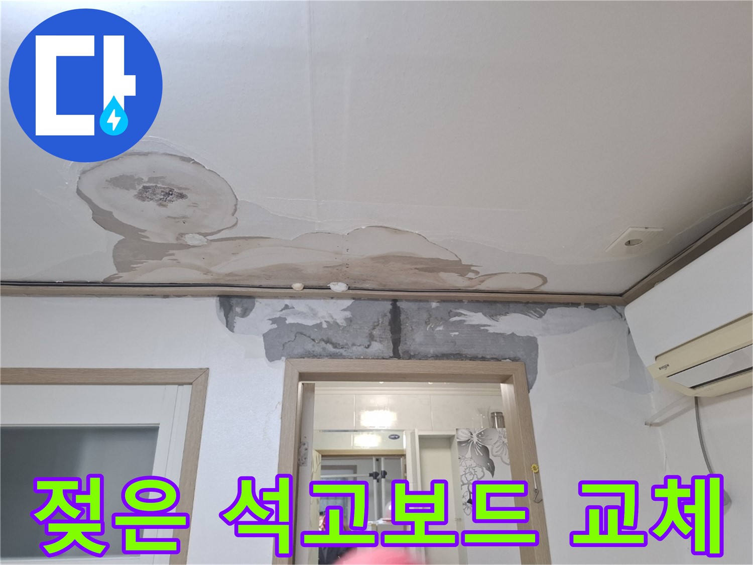 젖은 석고보드 - 곰팡이 서식지, 즉시 교체