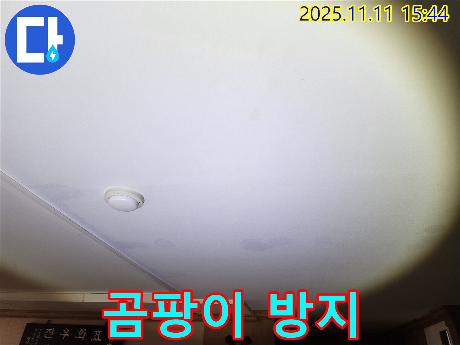 안산 원곡동 8차 푸르지오 아파트 천장 누수 - 곰팡이 제거 및 방지 시공