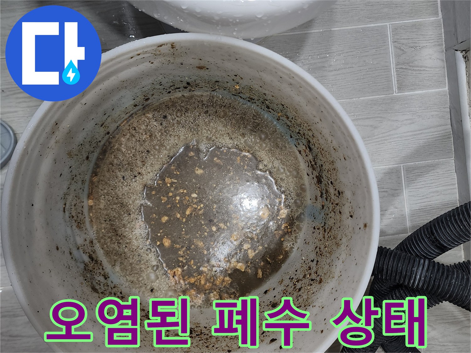 양동이에 담긴 탁한 물과 배관 이물질 덩어리들