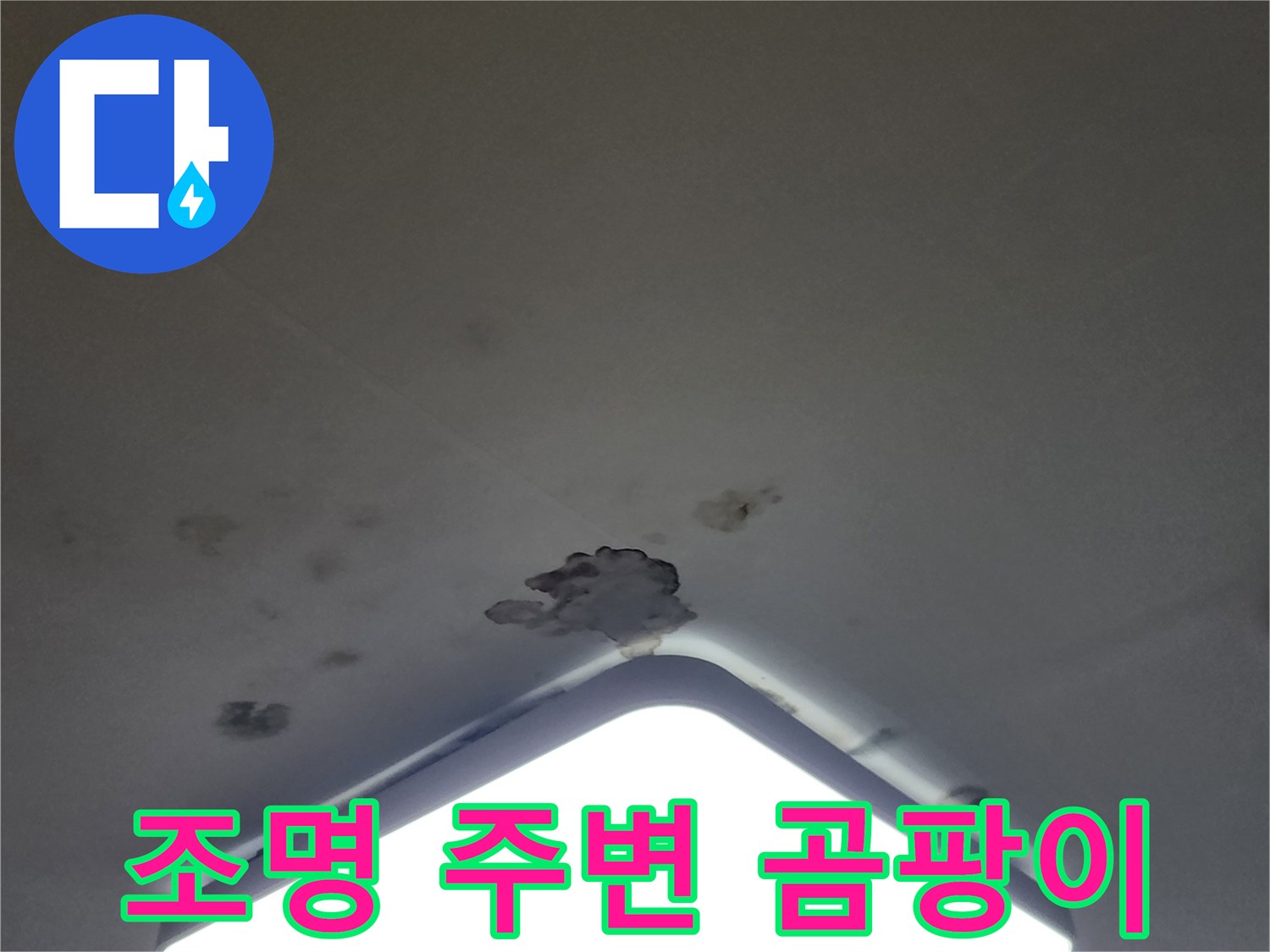 LED 조명 테두리를 따라 발생한 천장 곰팡이와 습기 흔적