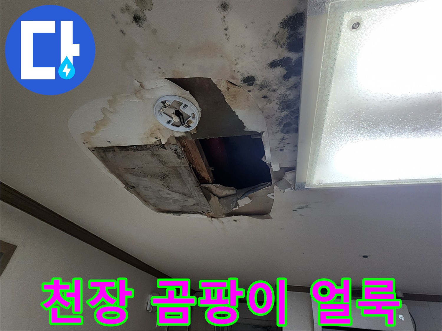 거실 천장-곰팡이가 번진 물샘 흔적 사진
