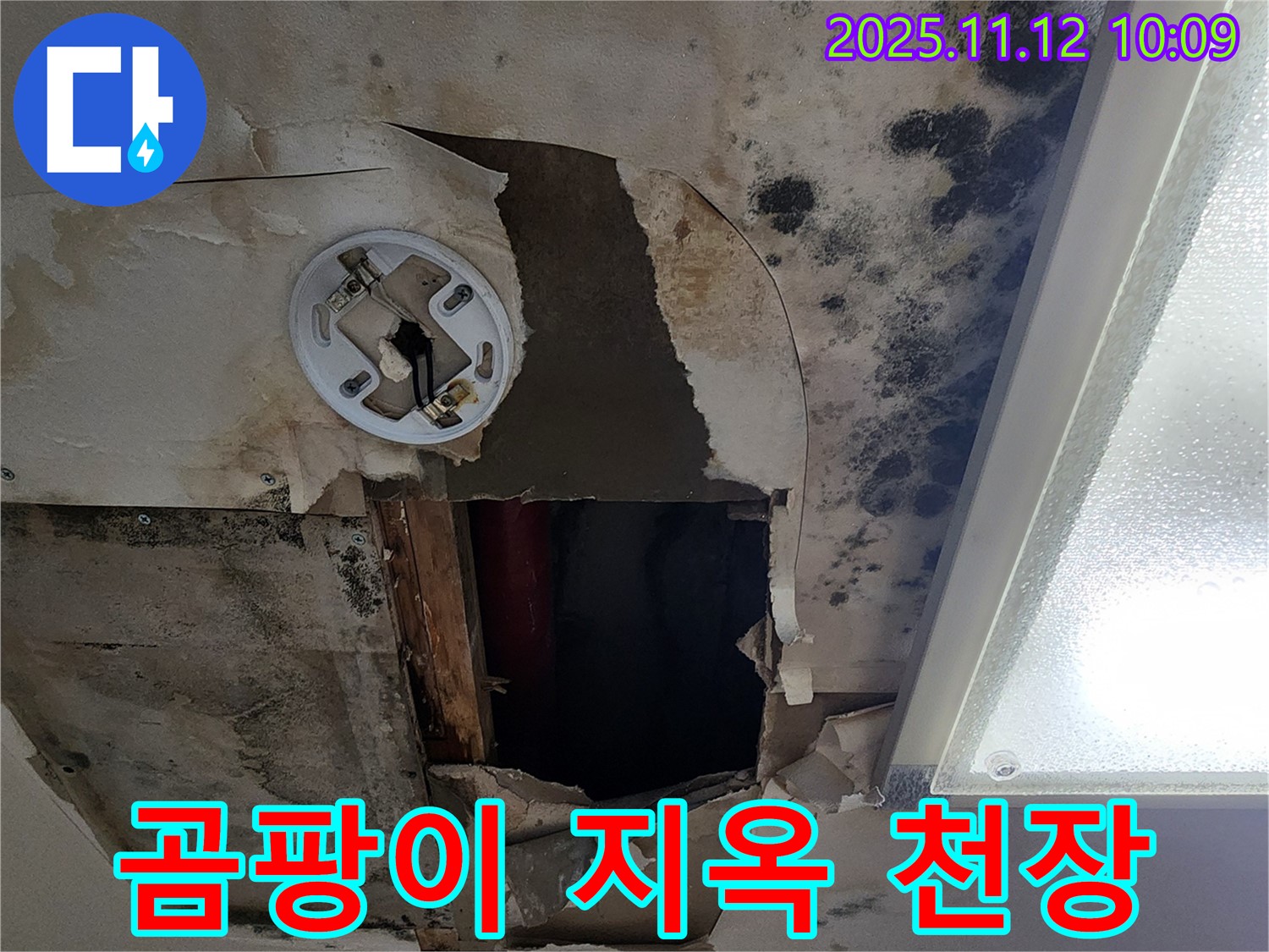 곰팡이로 뒤덮인 천장 - 곰팡이 문제의 심각성을 극명하게 보여주는 이미지
