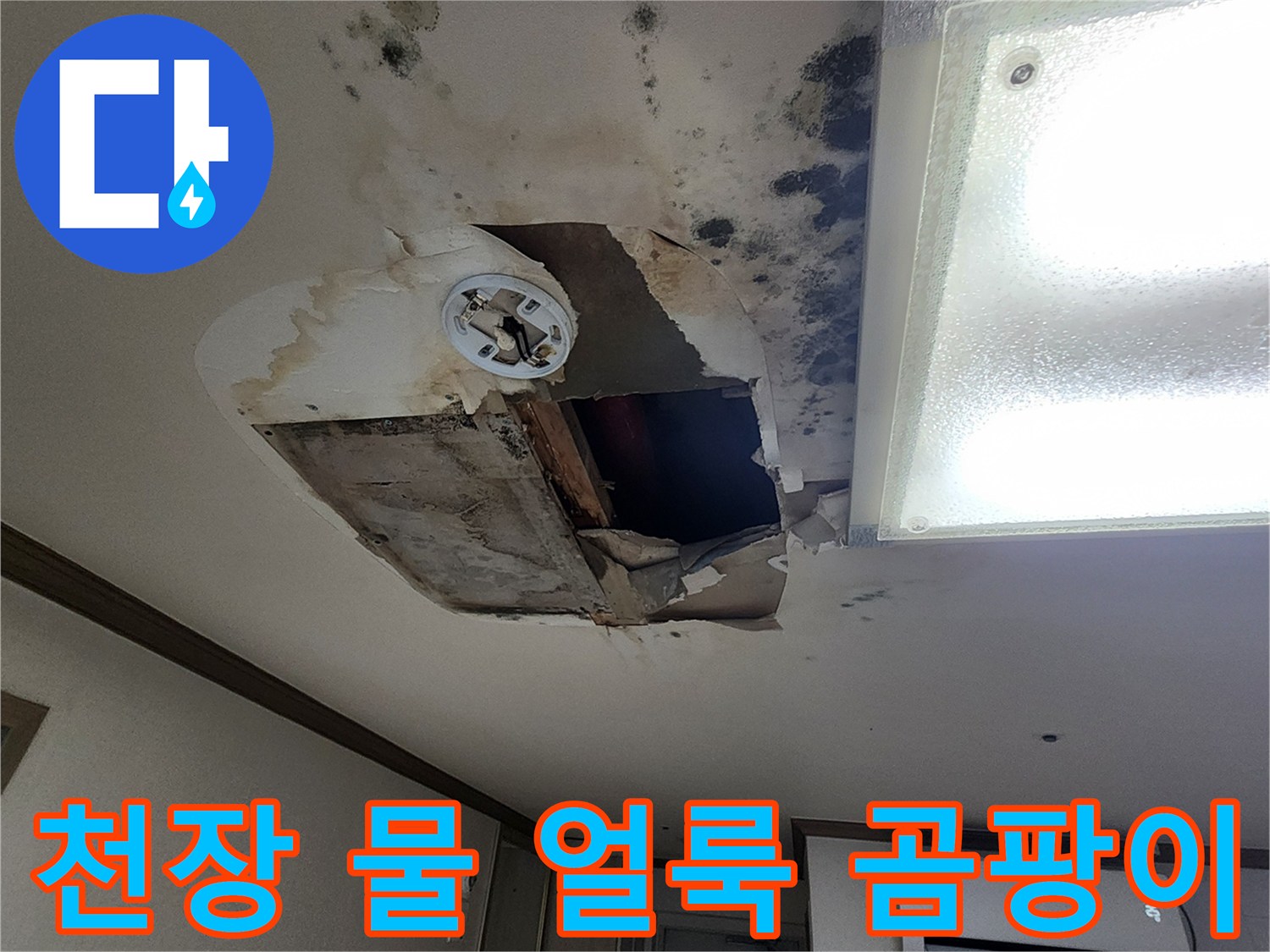물에 의한 변색과 곰팡이가 심한 천장 모습