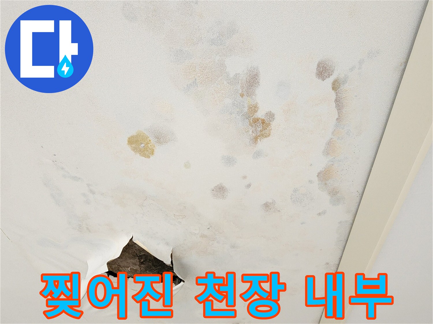 배관 확인을 위해 절개된 천장 마감재와 누수 흔적