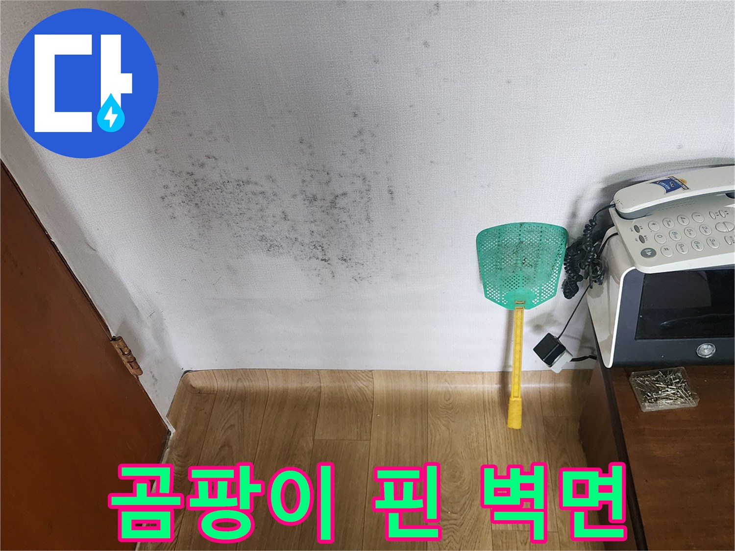 심한 곰팡이와 물 얼룩이 남은 아파트 내부 벽지