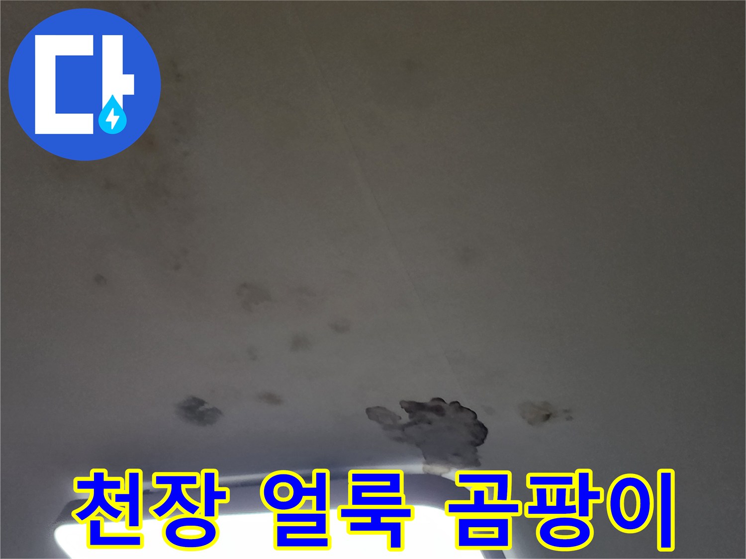 조명 주변으로 번진 곰팡이와 누수 흔적