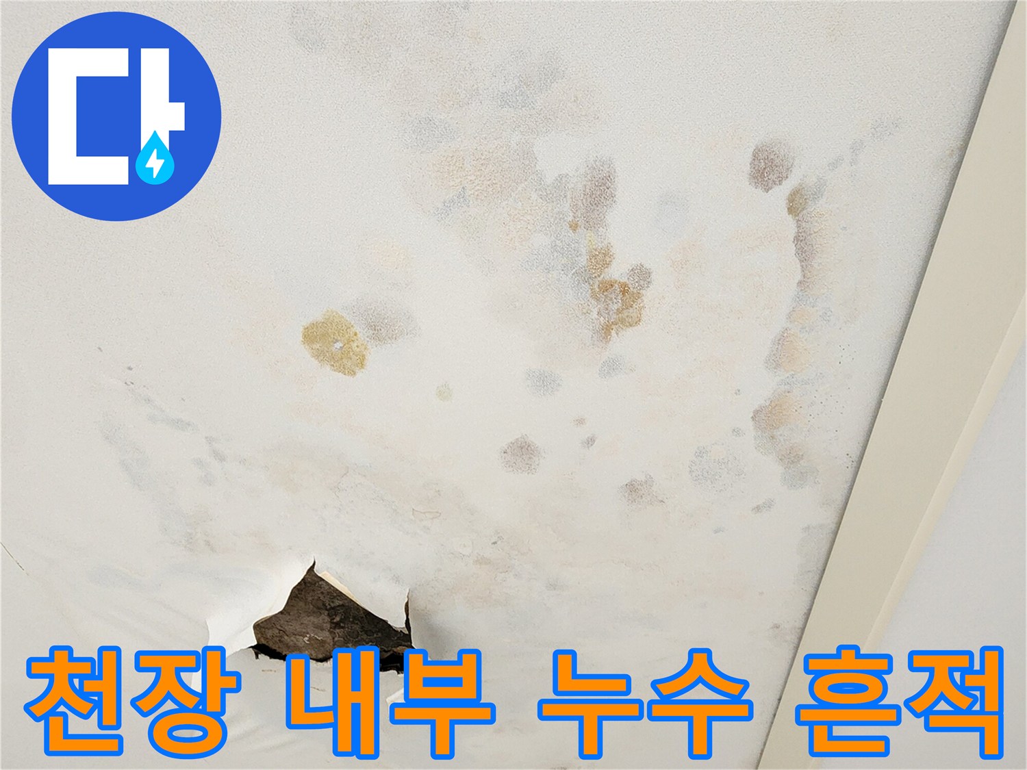 천장 도배지 안쪽으로 스며든 물기와 곰팡이 발생 부위