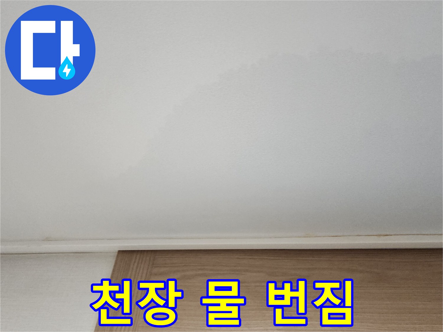 천장-면적에-걸쳐-발생한-습기-및-물-얼룩