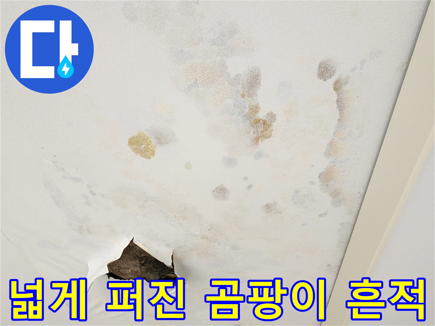 천장-벽면에-번져있는-누수-및-곰팡이-오염