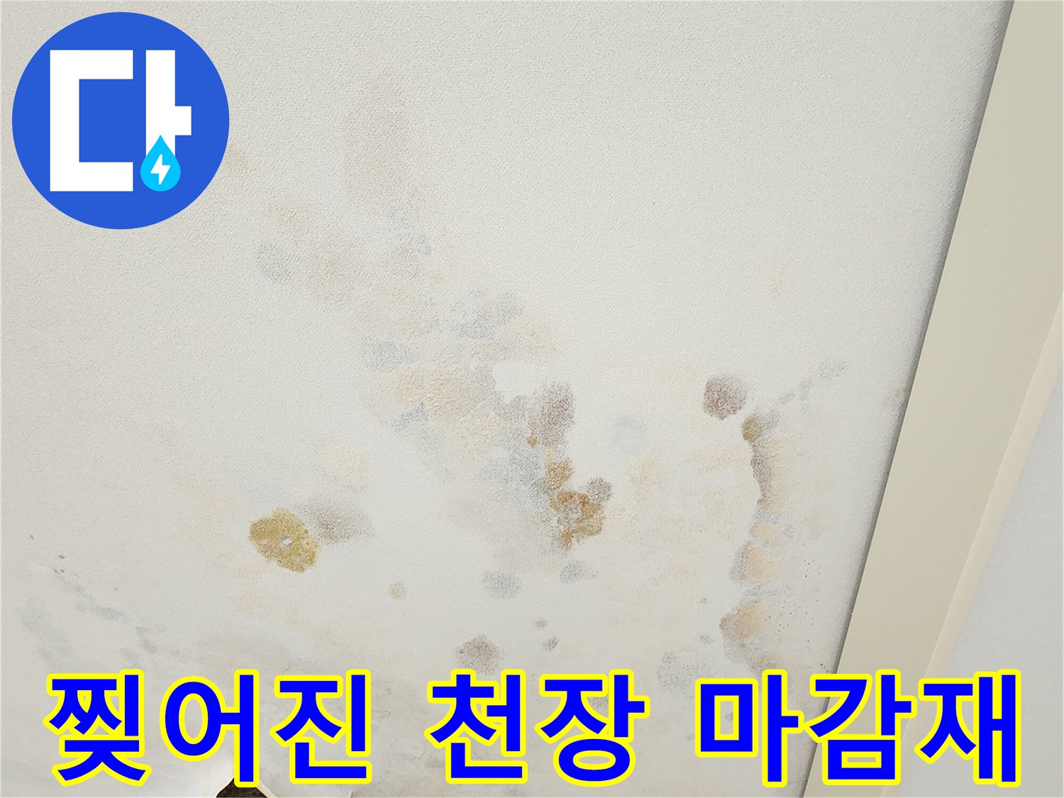 천장 벽지가 찢어져 내부가 노출된 누수 현장