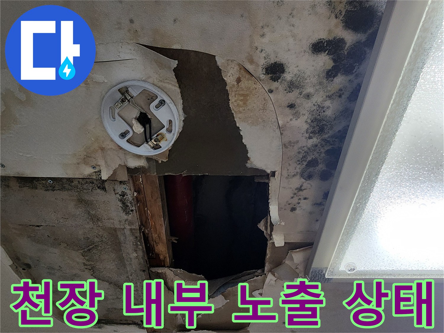 천장 절개 후 보이는-누수로 인한 곰팡이와 배관 주변 상태