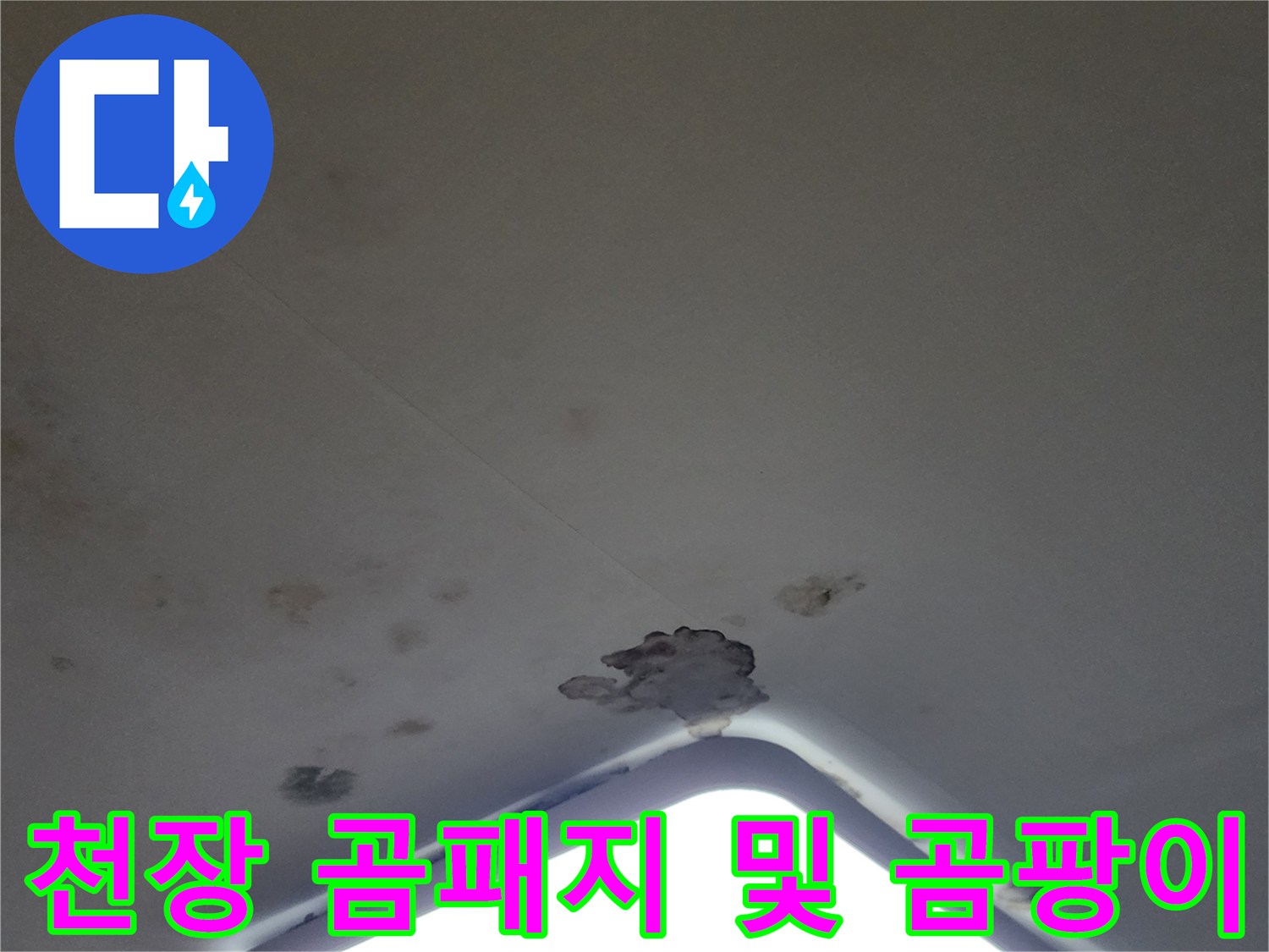 천장 조명 근처에 나타난 곰팡이와 물 얼룩 현상