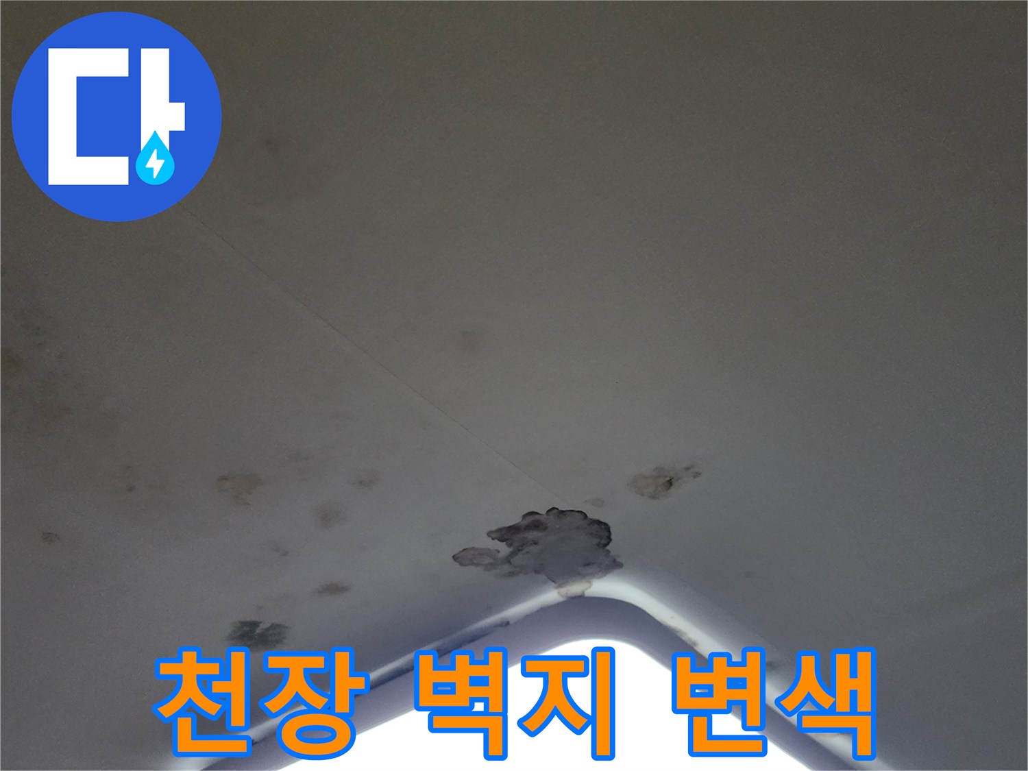 천장 조명 근처의 물에 젖은 듯한 벽지 상태