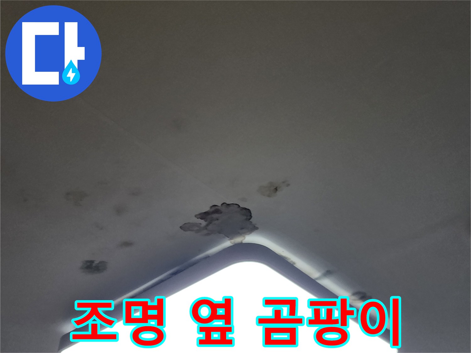 천장 조명 기구 주변의 오염된 천장면