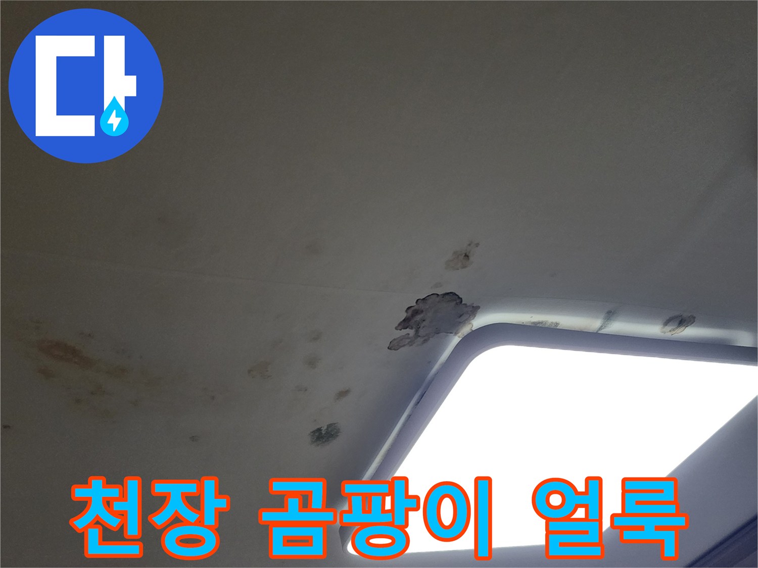 천장 조명 주변의 누수 피해로 인한 곰팡이와 물자국