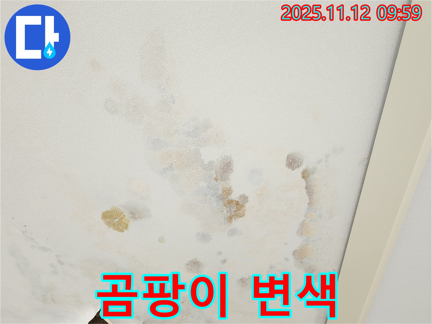 포천 소흘읍 무봉리 누수 현장 - 곰팡이와 함께 변색된 천장재