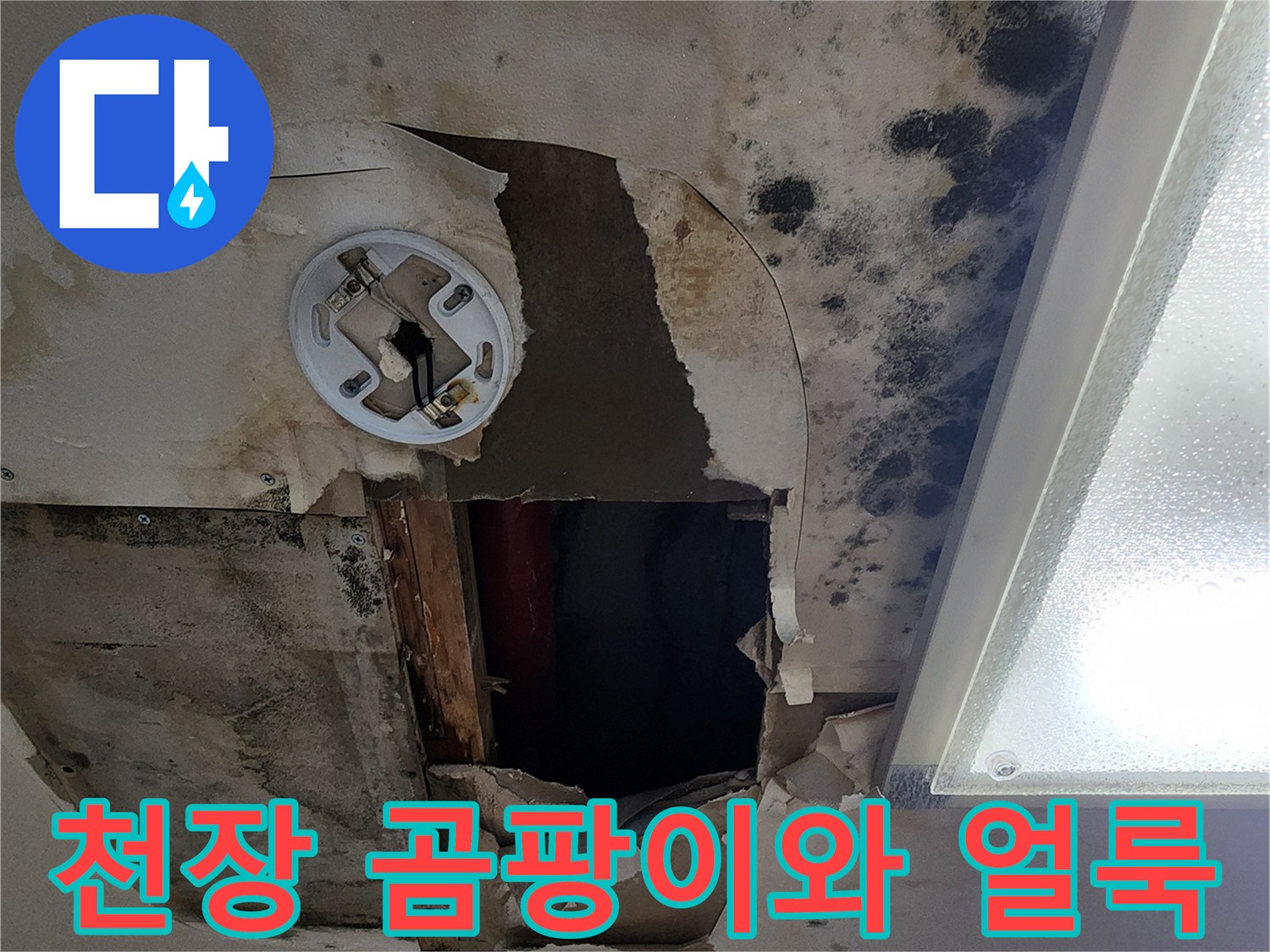 포천 소흘읍 아파트-천장 곰팡이 및 물 얼룩 상태