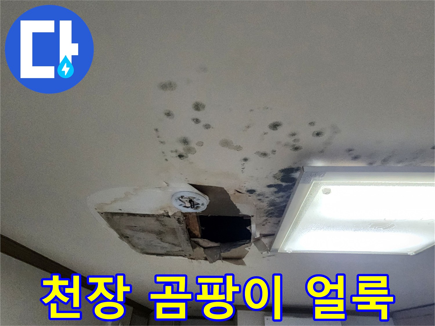 포천 소흘읍 아파트 천장 부근에 발생한 검은 곰팡이와 물자국 상태입니다.