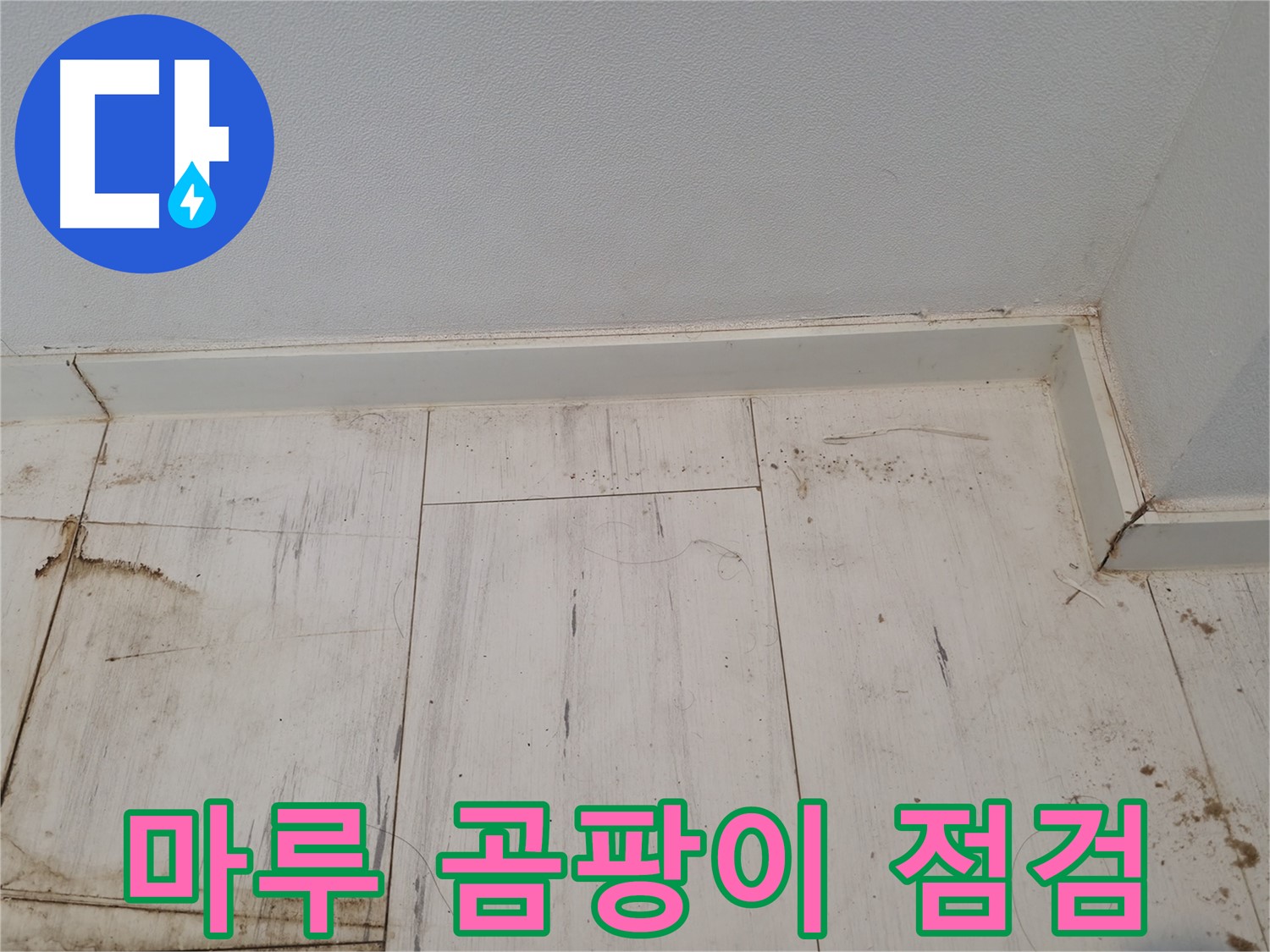 관악구 누수 - 마루 곰팡이 긴급 점검 - 누수 연관성 확인