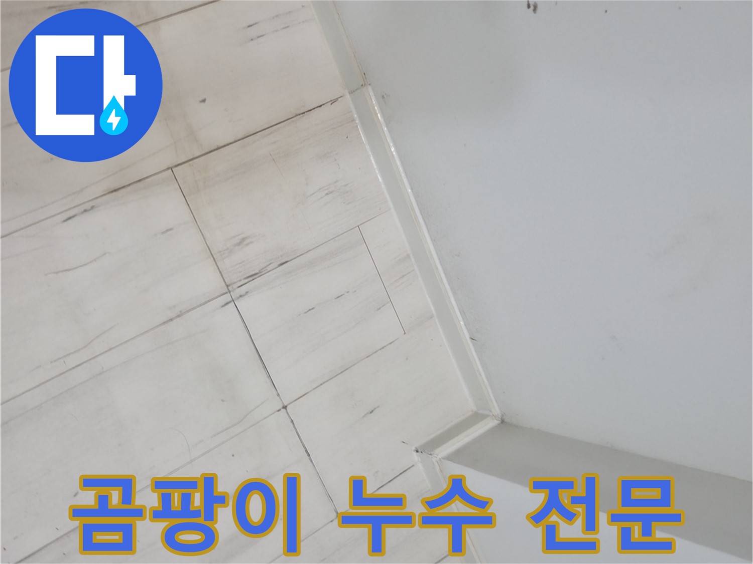 관악구 벽 하단 곰팡이 누수 전문가 시공