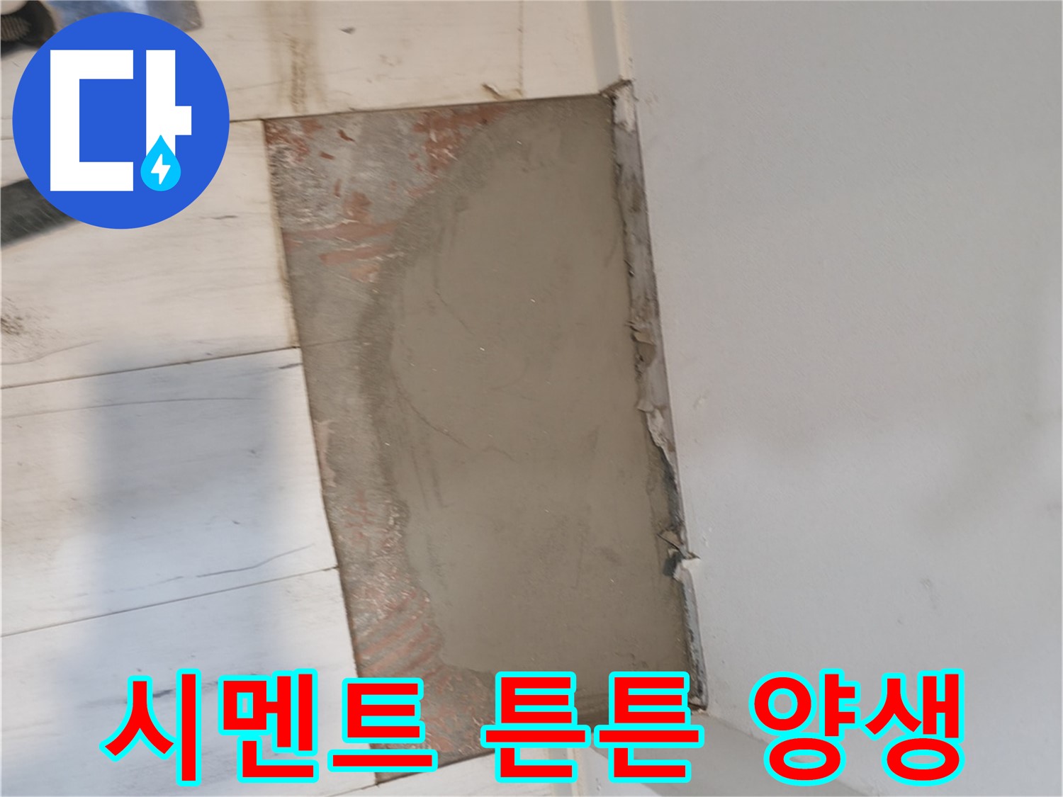 시멘트 양생 중 - 튼튼해져라!