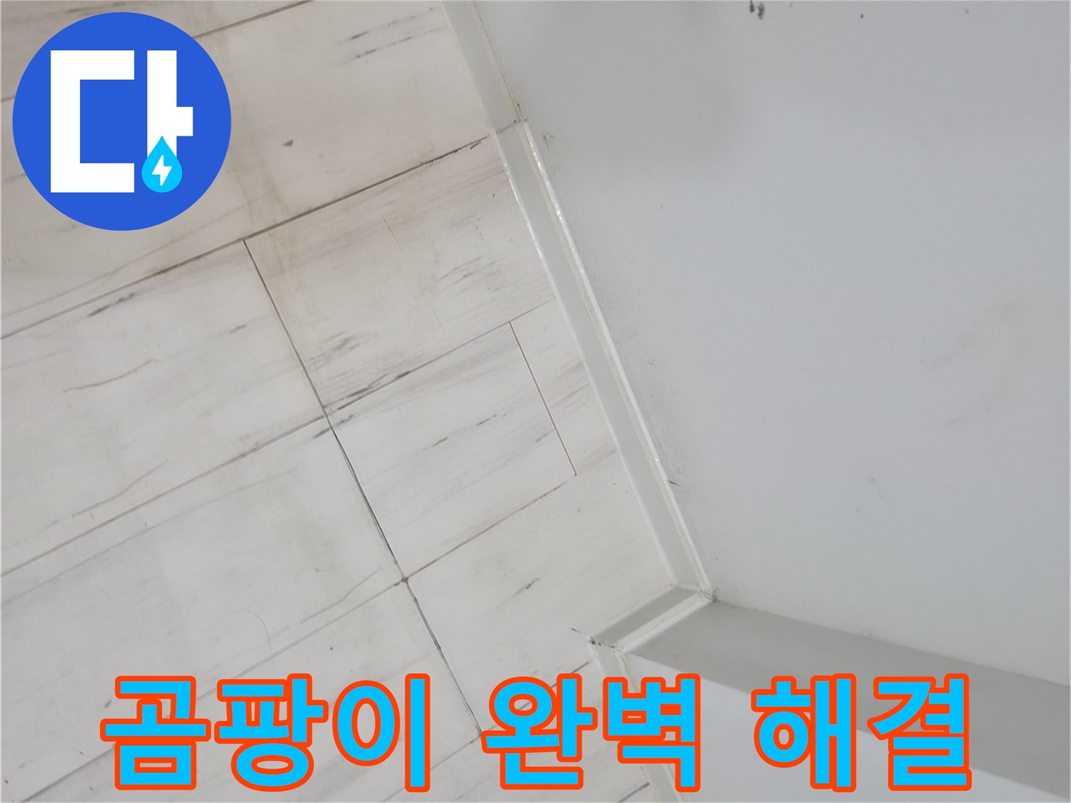 신림동 마루 틈새 곰팡이 누수 - 더 이상 누수 걱정 없이 편안한 생활